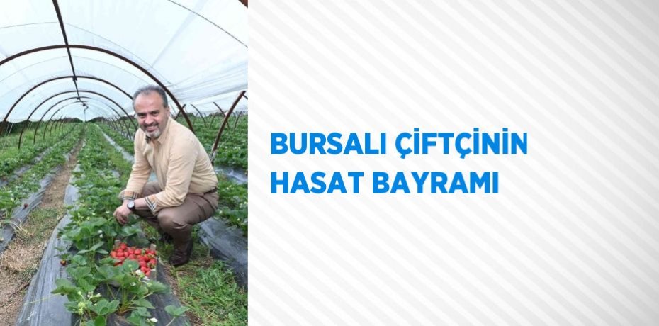 BURSALI ÇİFTÇİNİN HASAT BAYRAMI