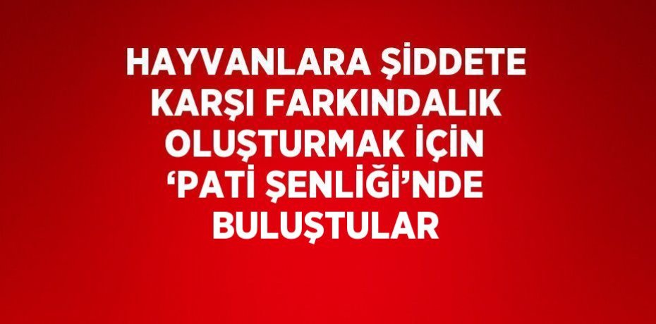 HAYVANLARA ŞİDDETE KARŞI FARKINDALIK OLUŞTURMAK İÇİN ‘PATİ ŞENLİĞİ’NDE BULUŞTULAR