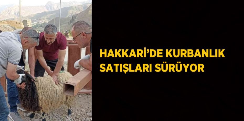 HAKKARİ’DE KURBANLIK SATIŞLARI SÜRÜYOR