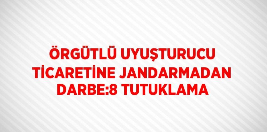 ÖRGÜTLÜ UYUŞTURUCU TİCARETİNE JANDARMADAN DARBE:8 TUTUKLAMA