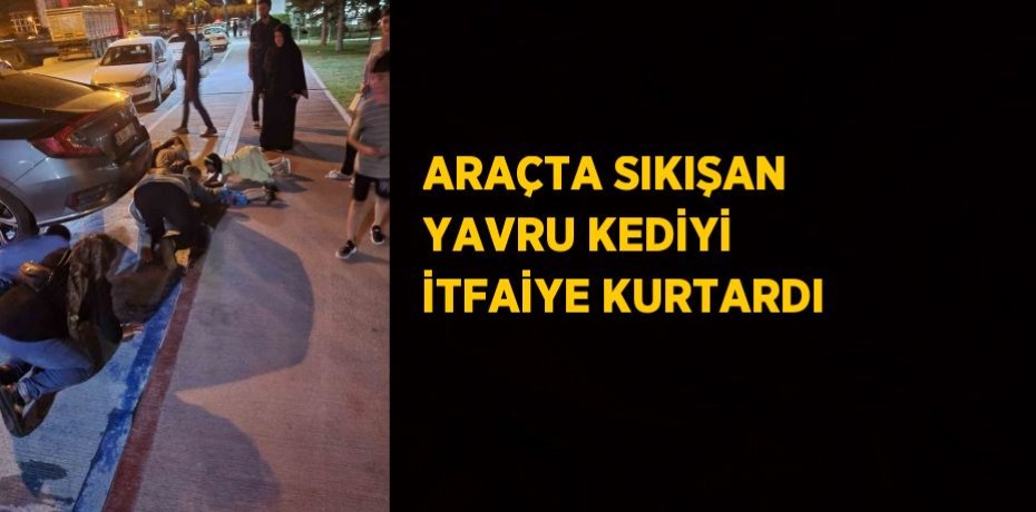 ARAÇTA SIKIŞAN YAVRU KEDİYİ İTFAİYE KURTARDI