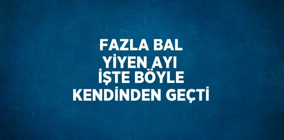 FAZLA BAL YİYEN AYI İŞTE BÖYLE KENDİNDEN GEÇTİ