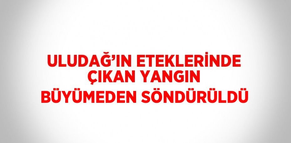 ULUDAĞ’IN ETEKLERİNDE ÇIKAN YANGIN BÜYÜMEDEN SÖNDÜRÜLDÜ