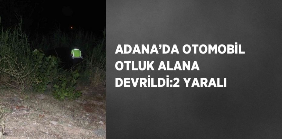 ADANA’DA OTOMOBİL OTLUK ALANA DEVRİLDİ:2 YARALI