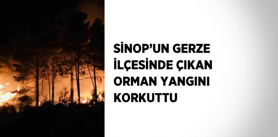 SİNOP’UN GERZE İLÇESİNDE ÇIKAN ORMAN YANGINI KORKUTTU