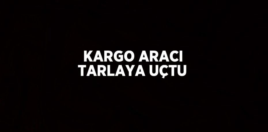 KARGO ARACI TARLAYA UÇTU