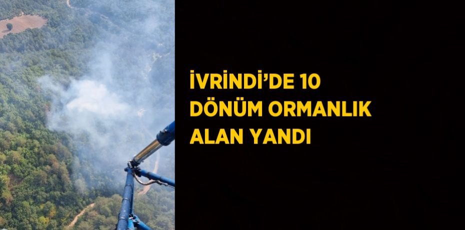 İVRİNDİ’DE 10 DÖNÜM ORMANLIK ALAN YANDI