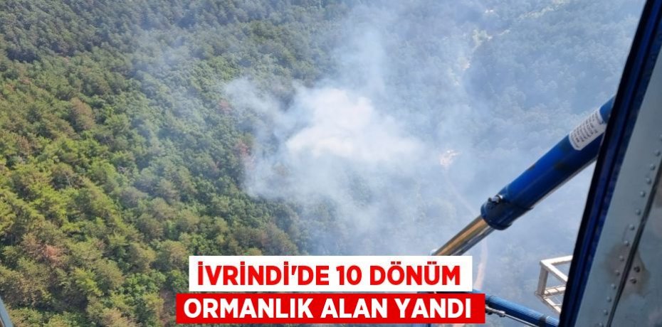 İvrindi'de 10 dönüm ormanlık alan yandı
