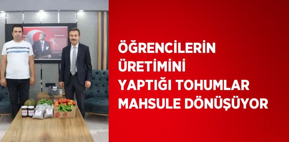 ÖĞRENCİLERİN ÜRETİMİNİ YAPTIĞI TOHUMLAR MAHSULE DÖNÜŞÜYOR