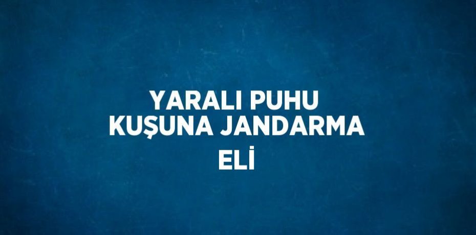 YARALI PUHU KUŞUNA JANDARMA ELİ