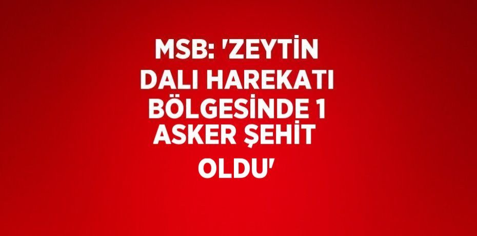 MSB: 'ZEYTİN DALI HAREKATI BÖLGESİNDE 1 ASKER ŞEHİT OLDU'