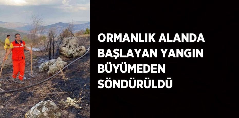 ORMANLIK ALANDA BAŞLAYAN YANGIN BÜYÜMEDEN SÖNDÜRÜLDÜ