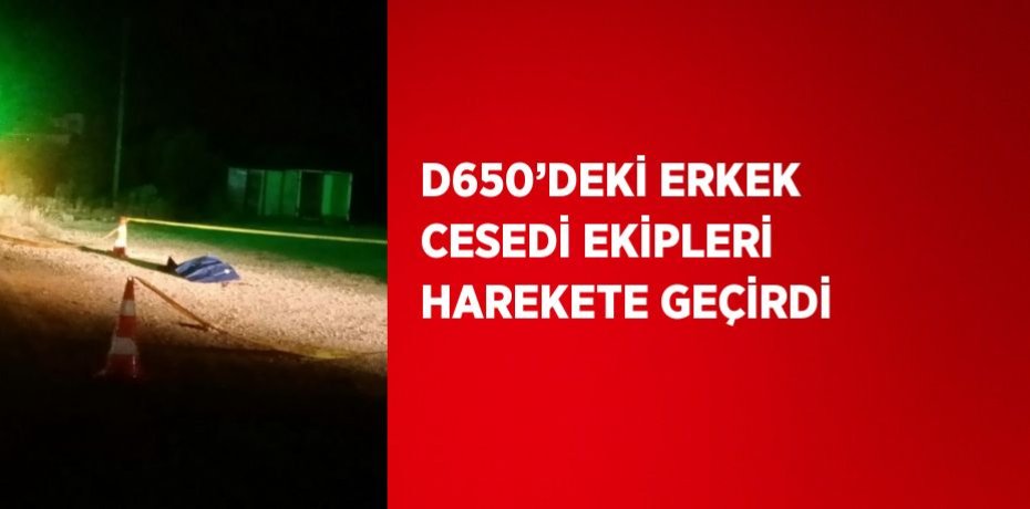 D650’DEKİ ERKEK CESEDİ EKİPLERİ HAREKETE GEÇİRDİ