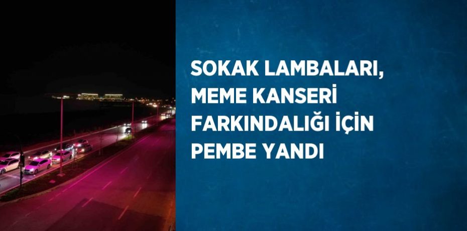 SOKAK LAMBALARI, MEME KANSERİ FARKINDALIĞI İÇİN PEMBE YANDI
