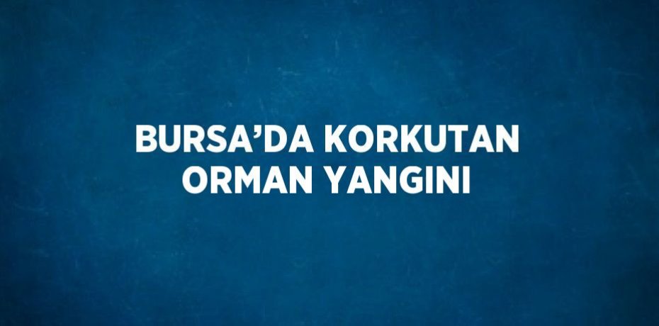BURSA’DA KORKUTAN ORMAN YANGINI