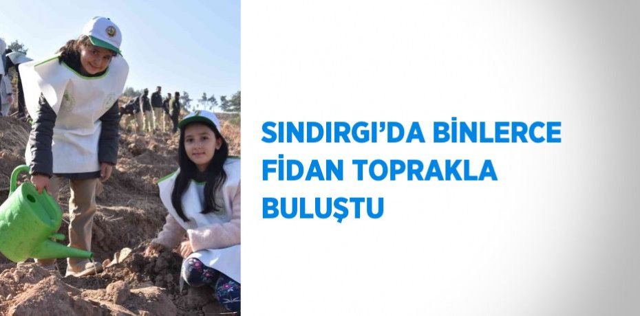 SINDIRGI’DA BİNLERCE FİDAN TOPRAKLA BULUŞTU