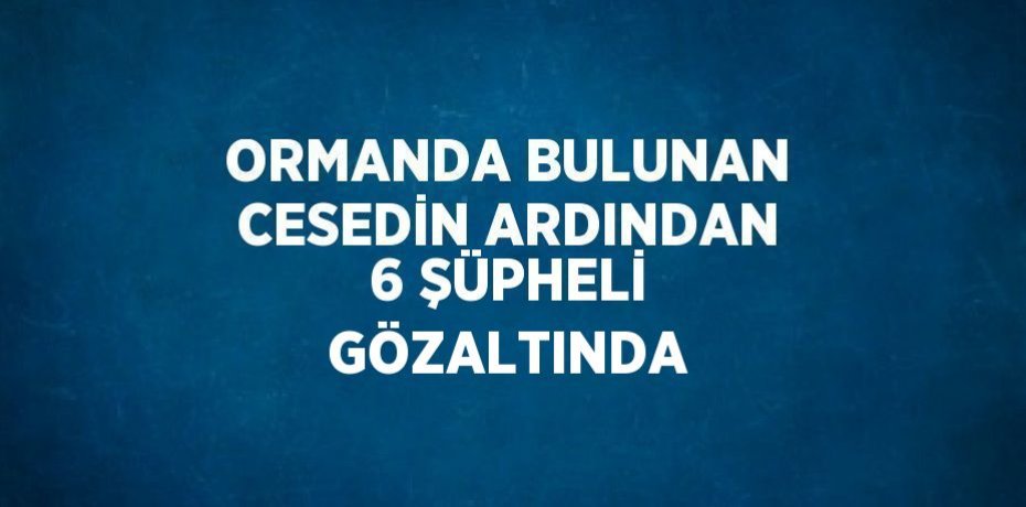 ORMANDA BULUNAN CESEDİN ARDINDAN 6 ŞÜPHELİ GÖZALTINDA