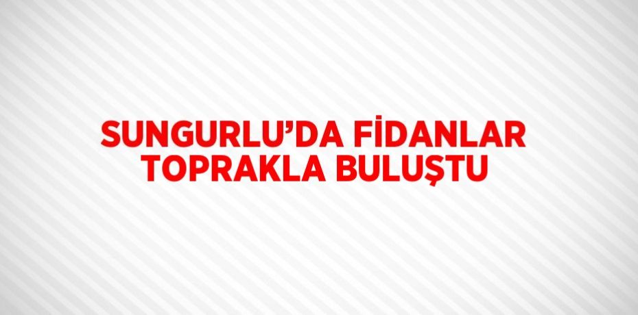 SUNGURLU’DA FİDANLAR TOPRAKLA BULUŞTU