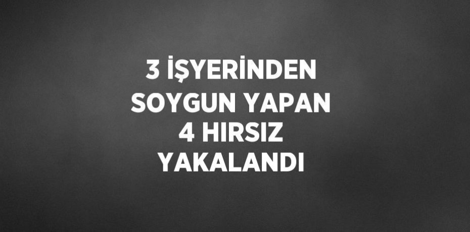 3 İŞYERİNDEN SOYGUN YAPAN 4 HIRSIZ YAKALANDI