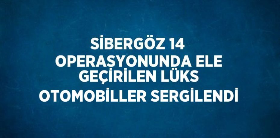 SİBERGÖZ 14 OPERASYONUNDA ELE GEÇİRİLEN LÜKS OTOMOBİLLER SERGİLENDİ