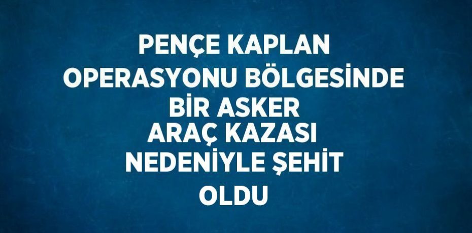 PENÇE KAPLAN OPERASYONU BÖLGESİNDE BİR ASKER ARAÇ KAZASI NEDENİYLE ŞEHİT OLDU
