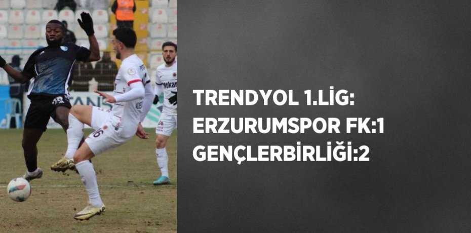 TRENDYOL 1.LİG: ERZURUMSPOR FK:1 GENÇLERBİRLİĞİ:2
