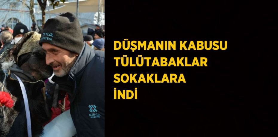 DÜŞMANIN KABUSU TÜLÜTABAKLAR SOKAKLARA İNDİ