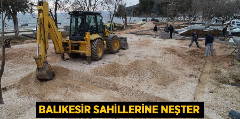 BALIKESİR SAHİLLERİNE NEŞTER
