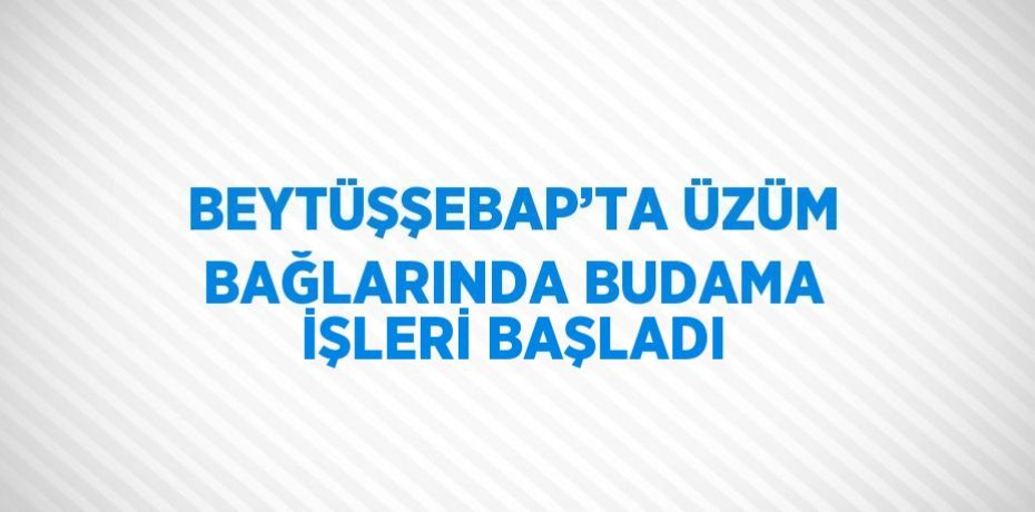BEYTÜŞŞEBAP’TA ÜZÜM BAĞLARINDA BUDAMA İŞLERİ BAŞLADI