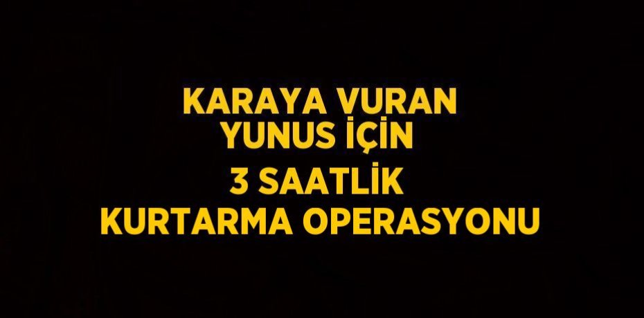 KARAYA VURAN YUNUS İÇİN 3 SAATLİK KURTARMA OPERASYONU