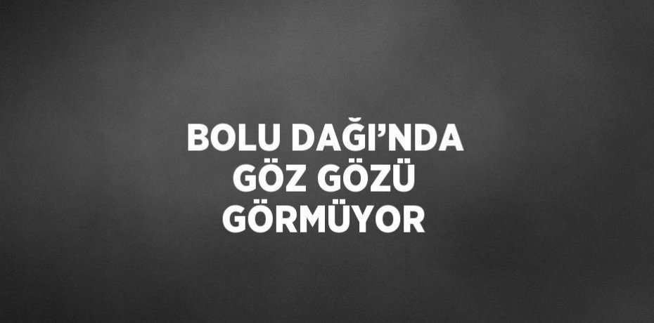 BOLU DAĞI’NDA GÖZ GÖZÜ GÖRMÜYOR