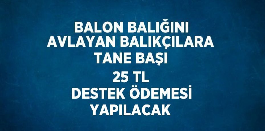 BALON BALIĞINI AVLAYAN BALIKÇILARA TANE BAŞI 25 TL DESTEK ÖDEMESİ YAPILACAK