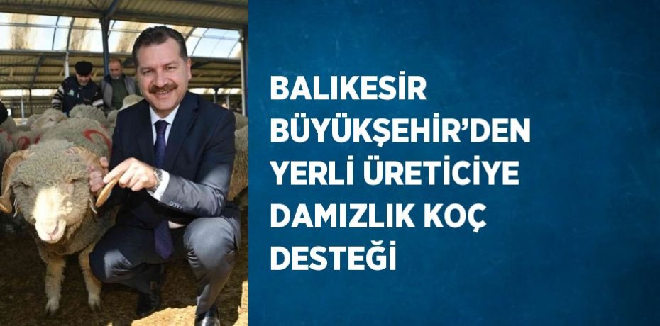 BALIKESİR BÜYÜKŞEHİR’DEN YERLİ ÜRETİCİYE DAMIZLIK KOÇ DESTEĞİ