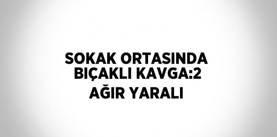 SOKAK ORTASINDA BIÇAKLI KAVGA:2 AĞIR YARALI