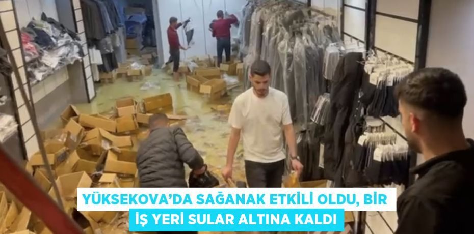 YÜKSEKOVA’DA SAĞANAK ETKİLİ OLDU, BİR İŞ YERİ SULAR ALTINA KALDI