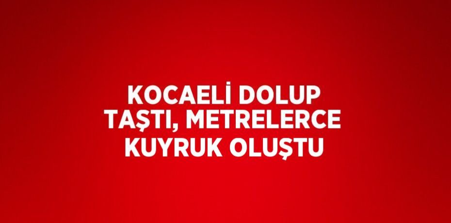 KOCAELİ DOLUP TAŞTI, METRELERCE KUYRUK OLUŞTU