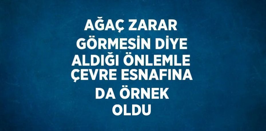 AĞAÇ ZARAR GÖRMESİN DİYE ALDIĞI ÖNLEMLE ÇEVRE ESNAFINA DA ÖRNEK OLDU