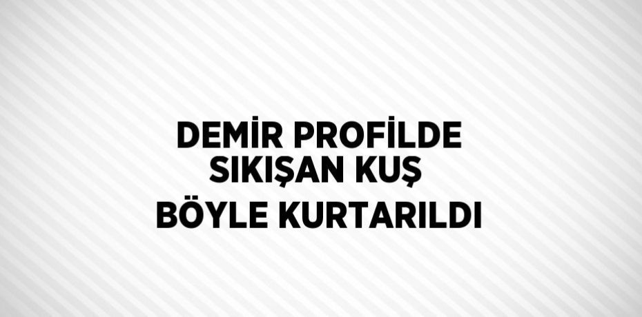 DEMİR PROFİLDE SIKIŞAN KUŞ BÖYLE KURTARILDI