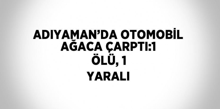 ADIYAMAN’DA OTOMOBİL AĞACA ÇARPTI:1 ÖLÜ, 1 YARALI