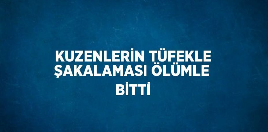 KUZENLERİN TÜFEKLE ŞAKALAMASI ÖLÜMLE BİTTİ