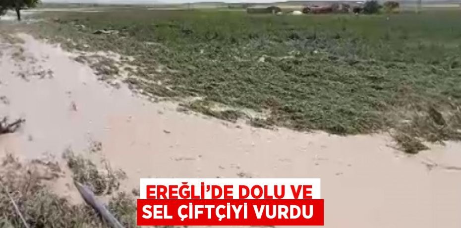 EREĞLİ’DE DOLU VE SEL ÇİFTÇİYİ VURDU