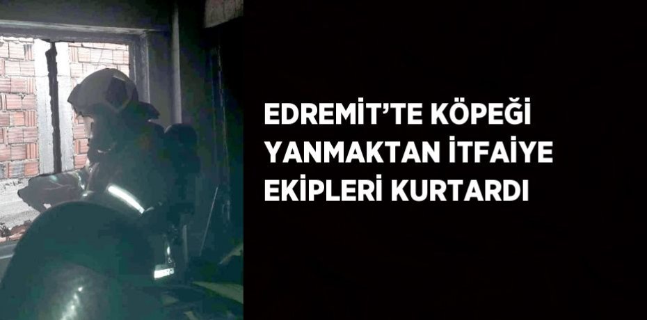 EDREMİT’TE KÖPEĞİ YANMAKTAN İTFAİYE EKİPLERİ KURTARDI