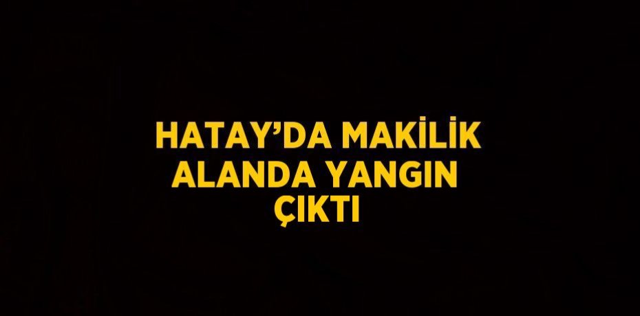 HATAY’DA MAKİLİK ALANDA YANGIN ÇIKTI