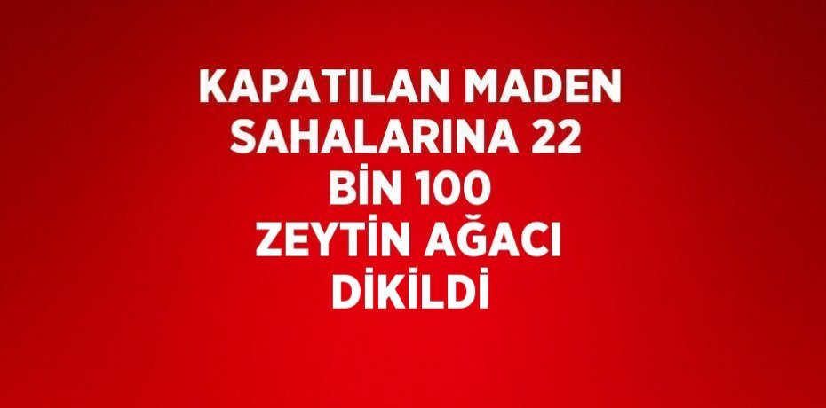 KAPATILAN MADEN SAHALARINA 22 BİN 100 ZEYTİN AĞACI DİKİLDİ