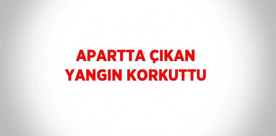 APARTTA ÇIKAN YANGIN KORKUTTU