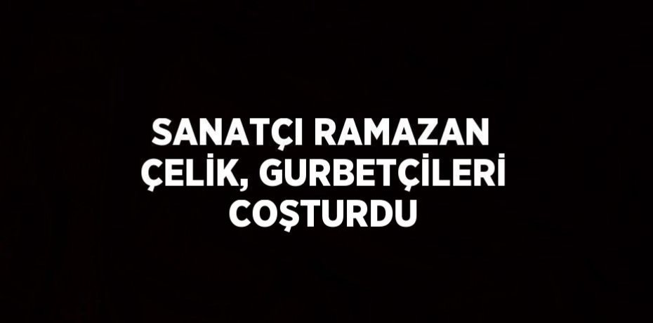 SANATÇI RAMAZAN ÇELİK, GURBETÇİLERİ COŞTURDU