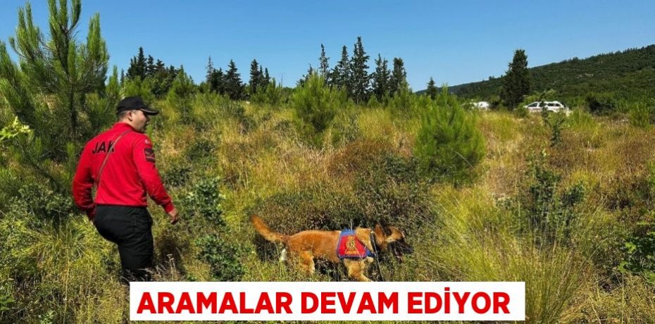 Aramalar devam ediyor