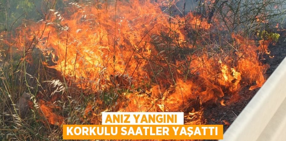 Anız yangını korkulu saatler yaşattı