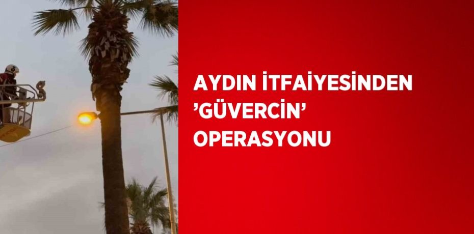 AYDIN İTFAİYESİNDEN ’GÜVERCİN’ OPERASYONU