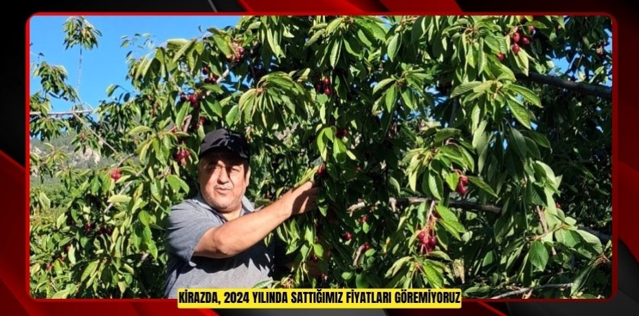"Kirazda, 2024 yılında sattığımız fiyatları göremiyoruz"